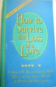 How to Survive the Loss of a Love